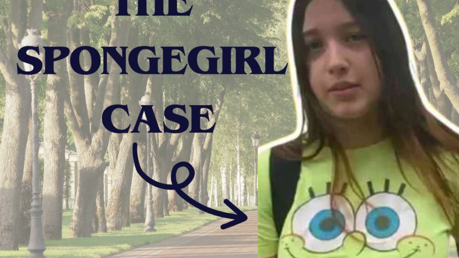 The Spongegirl Case Unveiled: A Comprehensive Exploration